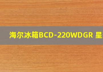 海尔冰箱BCD-220WDGR 星蕴银